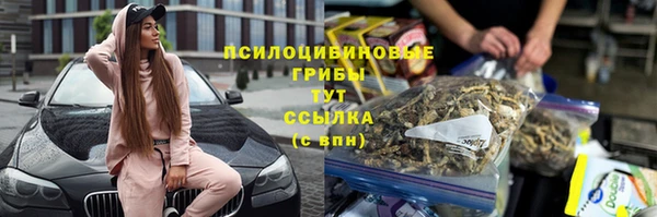 каннабис Новодвинск